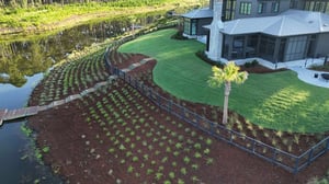 11-DJI_20250725075148_0890_D