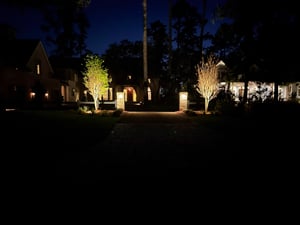 4-IMG_3935