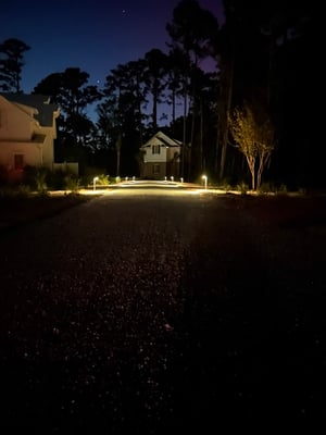 5-IMG_3938